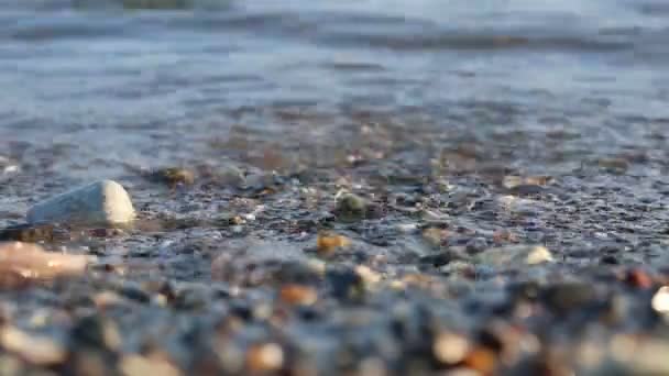 Μαλακό κύμα της θάλασσας στην αμμώδη παραλία — Αρχείο Βίντεο