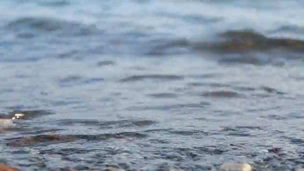 М'яка хвиля моря на піщаному пляжі — стокове відео