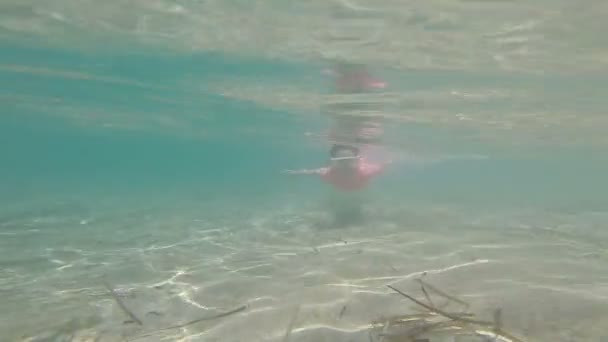 Küçük kız Denizde yüzme maskesi — Stok video