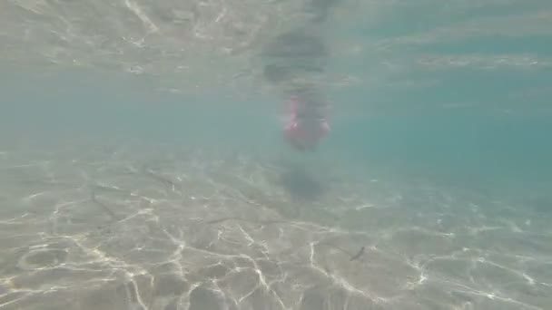 Маленька дівчинка з маскою плаває в морі — стокове відео