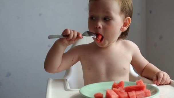 Schattige jongen eten watermeloen — Stockvideo