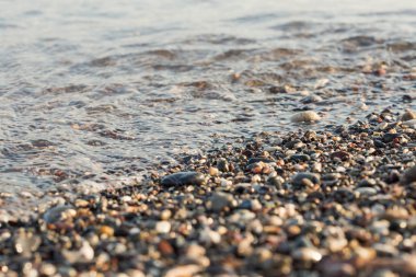 Sahilde dalga yumuşak deniz