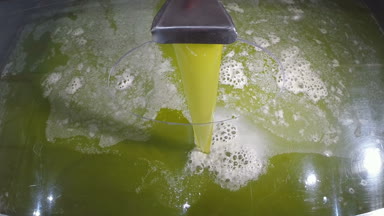 Yağ tüp bir soğuk-basın fabrikada zeytin hasat sonrası boşaltma