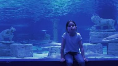 Büyük bir akvaryumda balık izleyen tatlı bir kız.