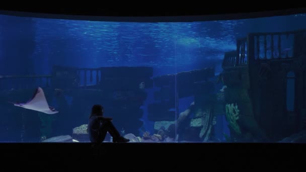 Schattig meisje kijken vissen in een groot aquarium — Stockvideo