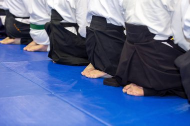 Kimono ve hakama giymiş insanlar dövüş sanatları eğitimi alıyorlar.