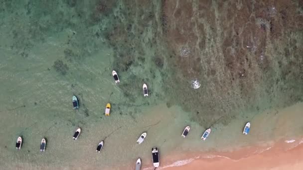 Sebesség hajók dokkolt a kék lagúnában, közel a trópusi strandhoz — Stock videók