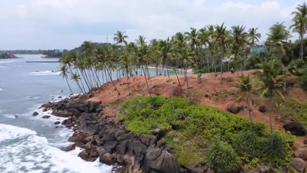 Bilder från kullen med kokosnötsträd i Mirissa, Sri Lankas västra provins — Stockvideo