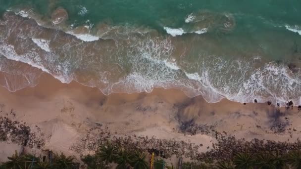 Aerial view to tropical sandy beach and blue ocean — Stock Video