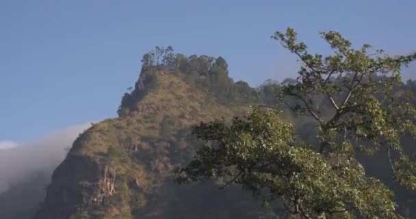 Ella Rock ve Little Adam güneş doğarken Sri Lanka 'da zirve yapıyor. — Stok video