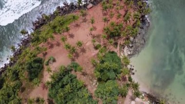 Sri Lanka 'nın batısındaki Mirissa' daki Hindistan cevizi ağacı tepesinin görüntüleri.