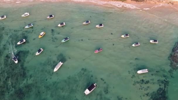 Speed boats in the blue lagoon near the tropical beach — Stock Video