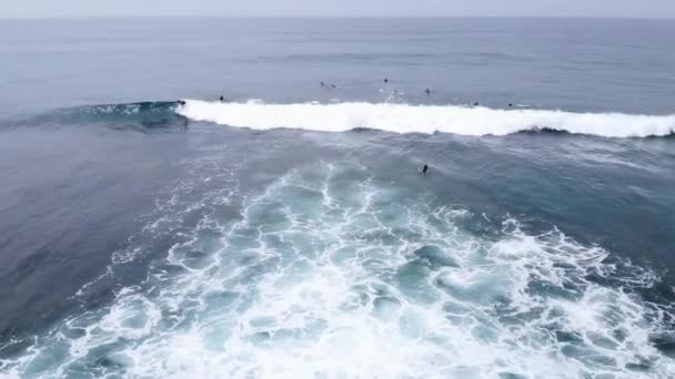 Images aériennes de drones de surfeurs attendant la prochaine balade sur la grande vague océanique sur le magnifique gradient du littoral aérien — Video