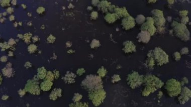 İlkbahar zamanı yüksek suyun hava aracı görüntüleri.