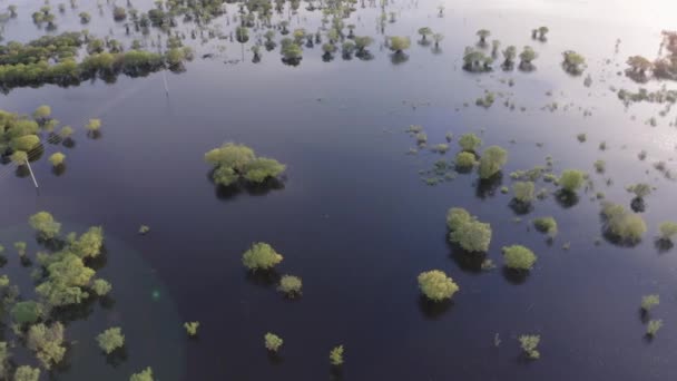 Filmato aereo drone di acqua alta in primavera — Video Stock