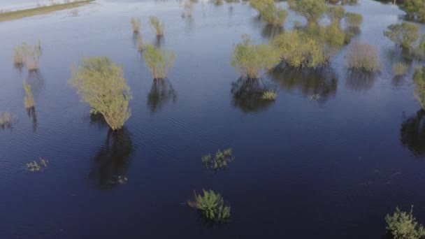 Filmato aereo drone di acqua alta in primavera — Video Stock