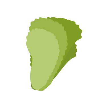 İzole marul yaprağı. Yeşil Beyaz arka plan üzerinde. Yeme vegeta