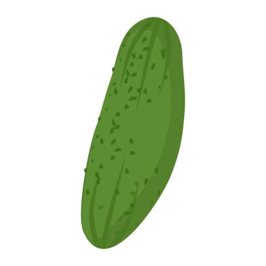 İzole salatalık. Beyaz zemin üzerine yeşil sebze. Vegetar