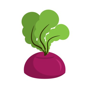 Pancar izole büyüyen. Beyaz arka plan üzerinde taze sebze