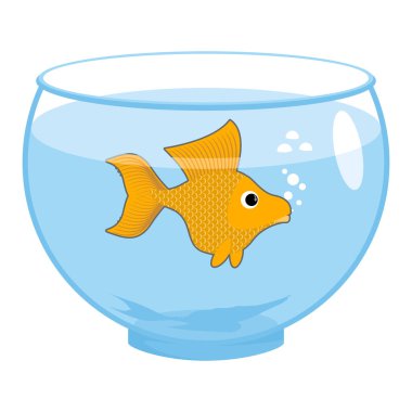 Goldfish akvaryum izole. Sihirli deniz hayvanları