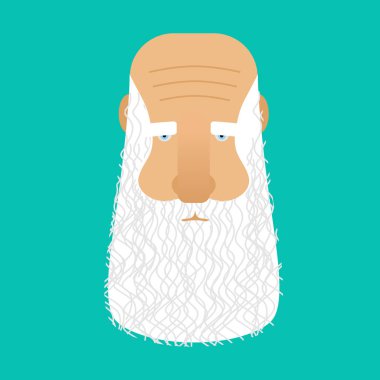 Büyük gri sakal yüz izole. baş yaşlı adam. Emekli