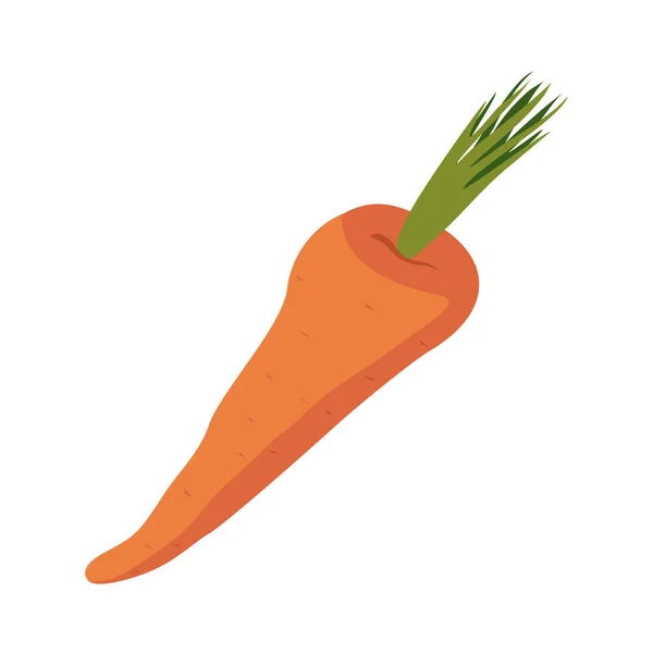 孤立的胡萝卜。白色背景上的橙色蔬菜。吃 — 图库矢量图片