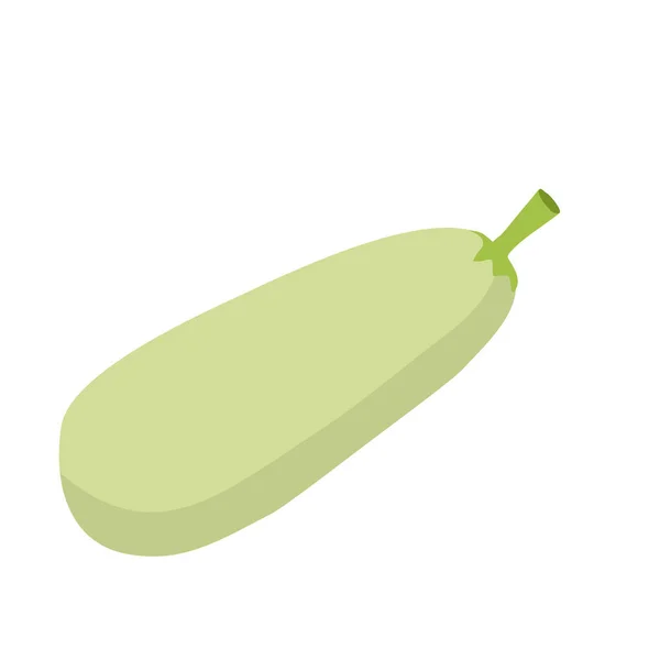 Zucchini isolé. Légumes sur fond blanc. Manger des légumes — Image vectorielle