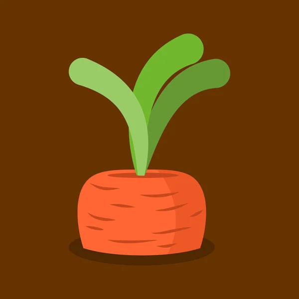 Zanahorias creciendo aisladas. Verduras frescas en el jardín — Vector de stock