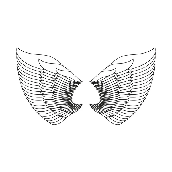 Angel Wings Isolé. Aile de plumes blanches d'oiseau — Image vectorielle