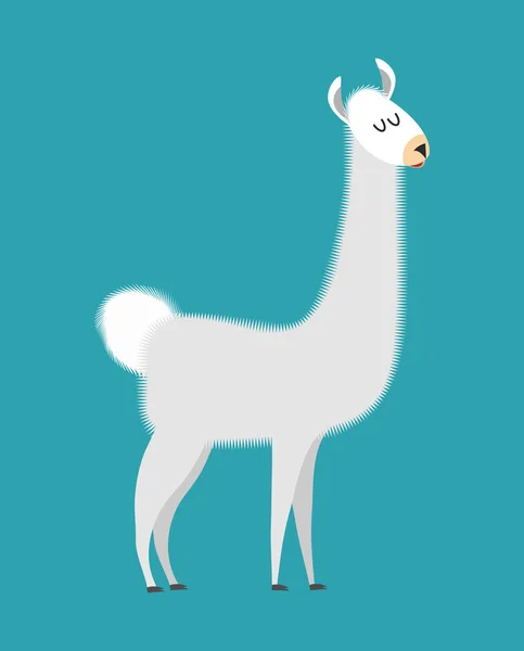 Lama isolé. Mignon animal d'alpaga. Mammifère sud-américain — Image vectorielle