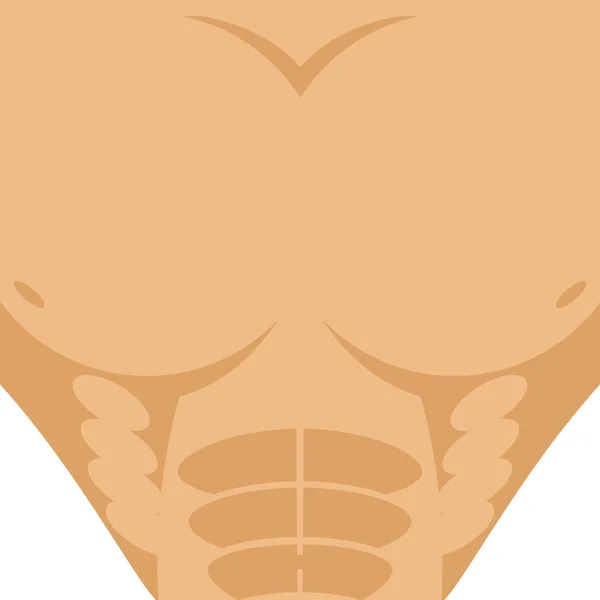 Torso masculino. Hombre atlético en el pecho. abdomen fuerte. fitness Brutal b — Archivo Imágenes Vectoriales