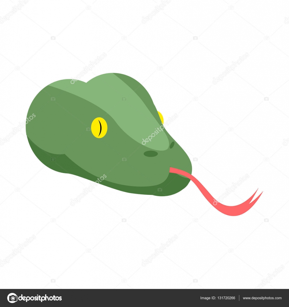 Tªte de serpent isolée Visage de Boa sur fond blanc Reptile vert — Image