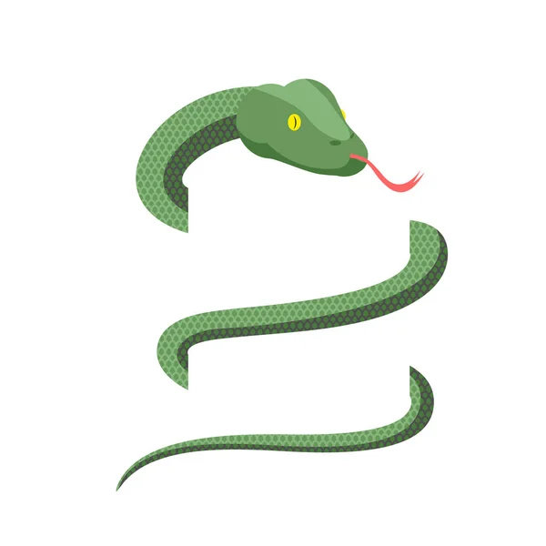 İzole yılan tamamladı. Kobra'nïn üstüne beyaz arka plan. Yeşil sürüngen — Stok Vektör