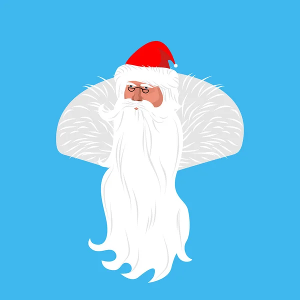 Papai Noel enfrenta avatar. Natal avô cabeça com barba a —  Vetores de Stock