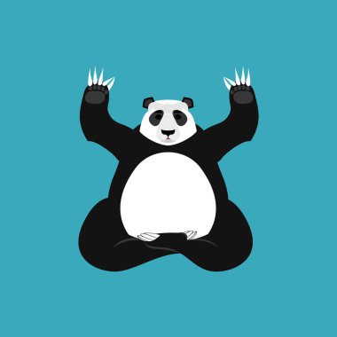 Panda Yoga. Çin ayı yogi. Hayvan zen ve rahatla