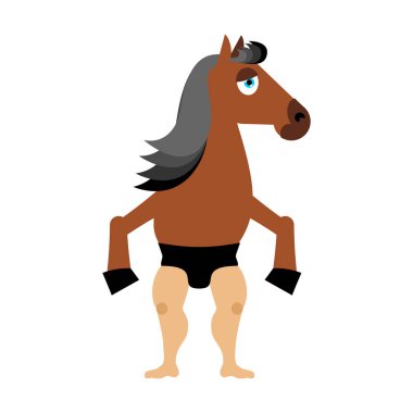 Centaur fairytale yaratık. İzole man at. Fantastik hayvan