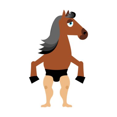 Centaur fairytale creature. Man horse isolated. Fantastic animal clipart