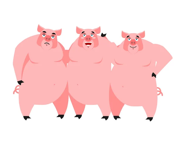 Trois cochons. Illustration pour conte de fées. porcelets sur fond blanc — Image vectorielle