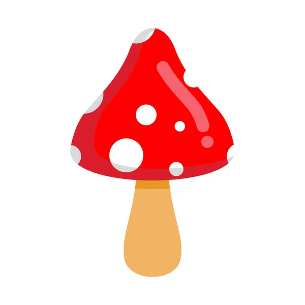 Amanita isolada. Cogumelo venenoso com chapéu vermelho —  Vetores de Stock