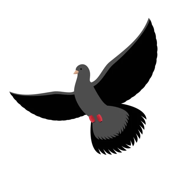 Paloma negra aislada. Paloma oscura sobre fondo blanco.Vuelo de pájaro — Archivo Imágenes Vectoriales