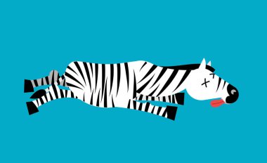 Ölü Zebra. Afrika hayvan öldü. Vahşi hayvan cesedi