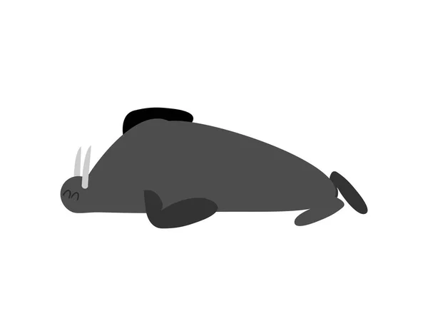 Morsa durmiente. foca al animal ártico duerme. Bestia salvaje soñolienta — Vector de stock