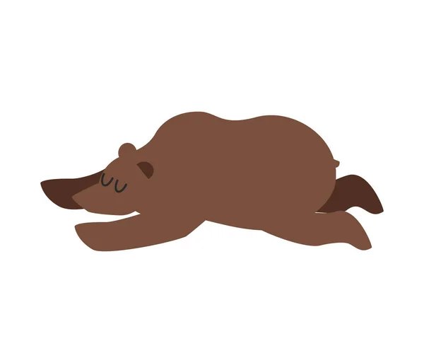 Oso durmiente. Un animal salvaje duerme. Somnoliento grizzly — Vector de stock