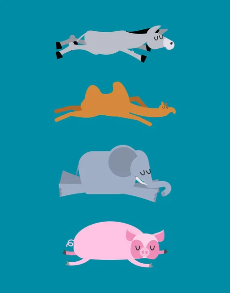 Conjunto de animales durmientes 4. Burro y elefante. Camello y cerdo. Silvestres — Archivo Imágenes Vectoriales