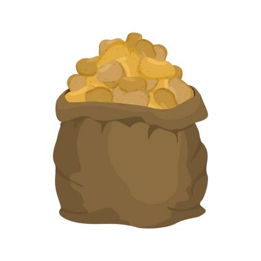 Patates çuval bezi çanta. sebze çuvalı. çiftlikte büyük ürün. sackful