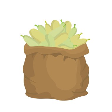 Kabak çuval bezi çanta. sebze çuvalı. çiftlikte büyük ürün. sackf