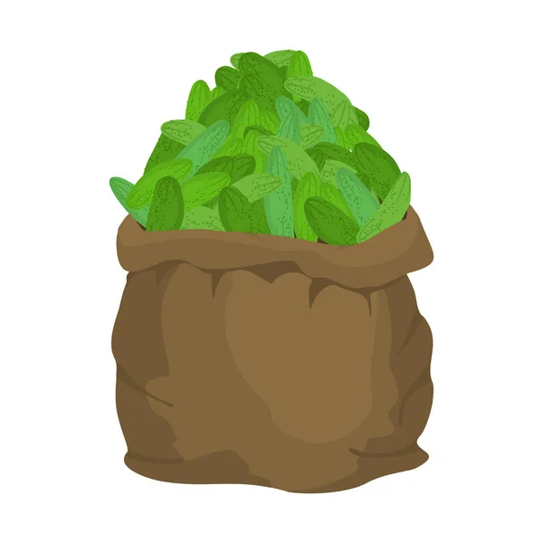 Αγγούρι σάκο λινάτσα. σάκος από λαχανικά. μεγάλη καλλιέργεια στο αγρόκτημα. sackf — Διανυσματικό Αρχείο