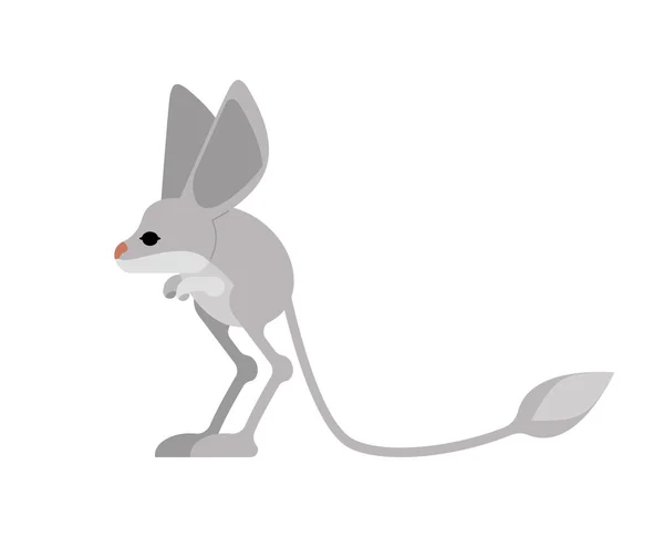 Jerboa isolated. Steppe animal on white background — Stock Vector