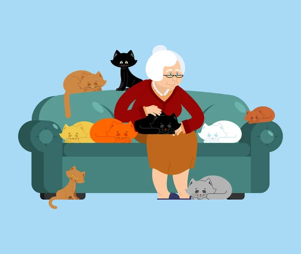 Babička a kočka sedí na židli. Babička kočičí dáma. Babička — Stockový vektor