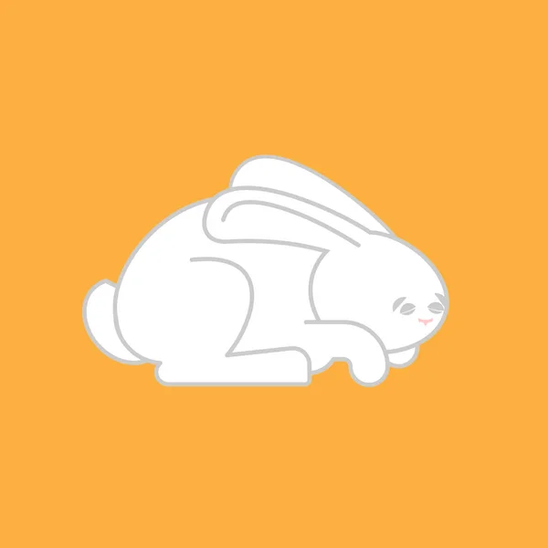 White Rabbit isolated. cute Hare. bunny Animal — Stock Vector